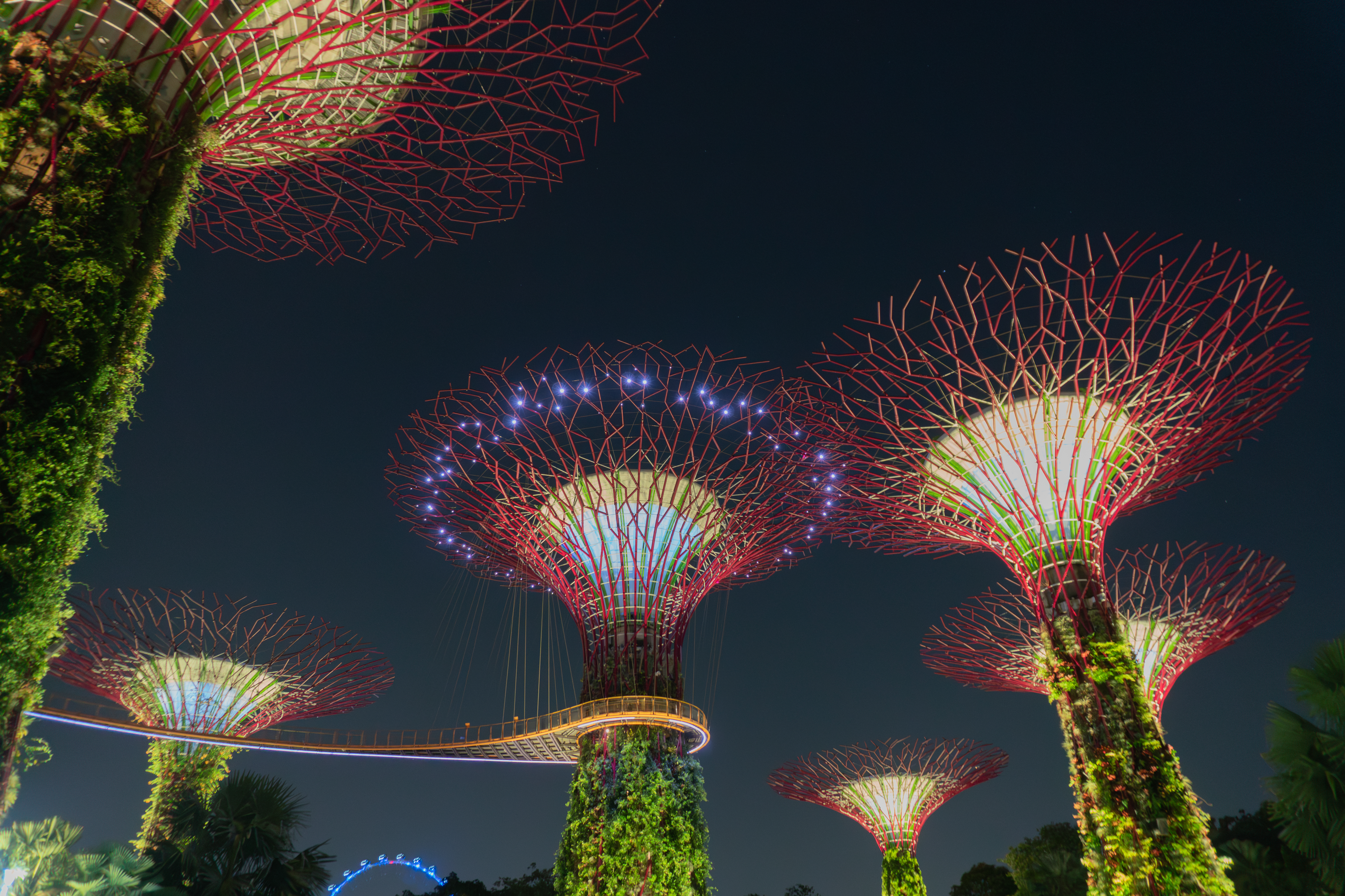 Gardens by the Bay