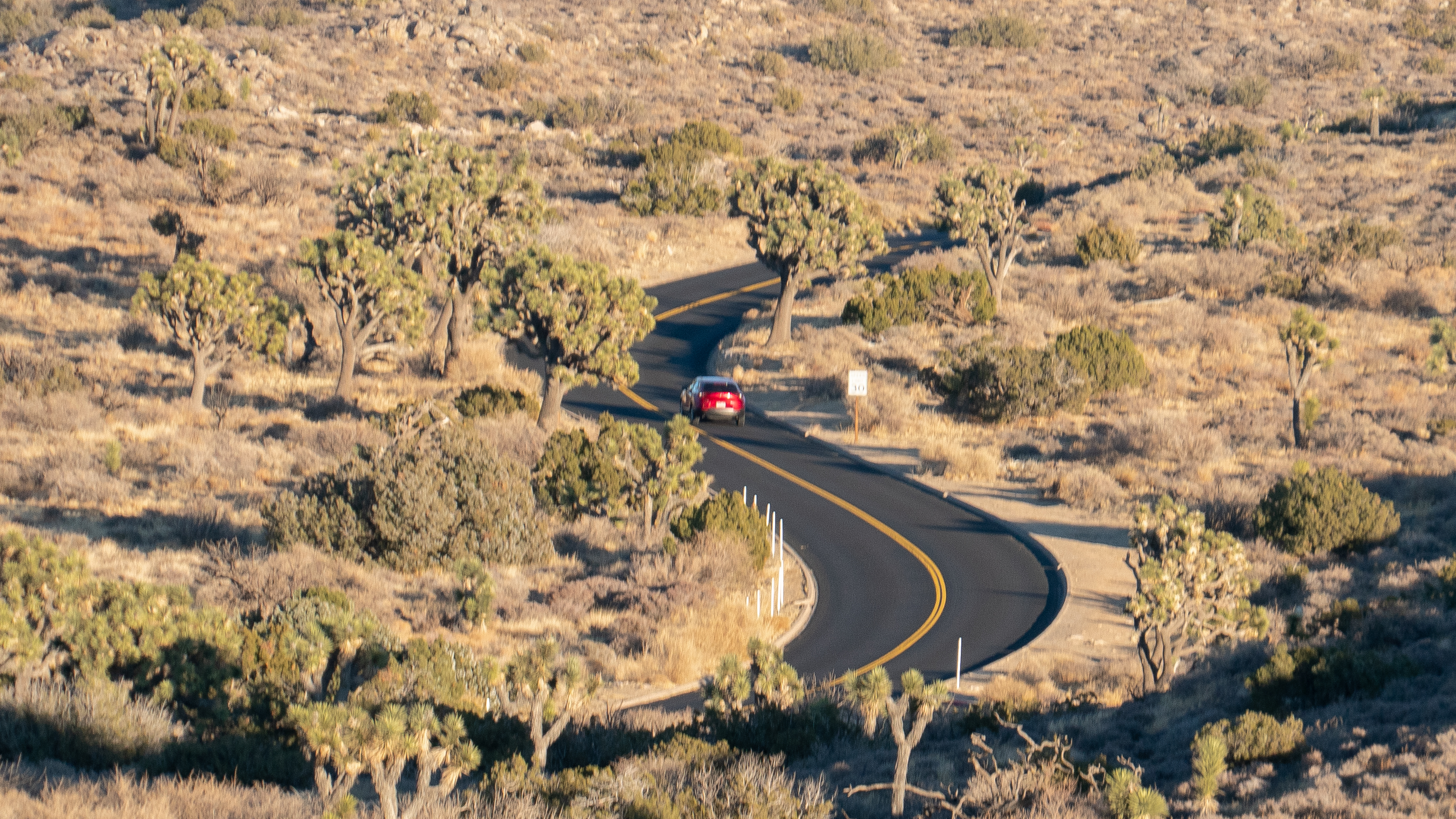 Joshua Tree National Park