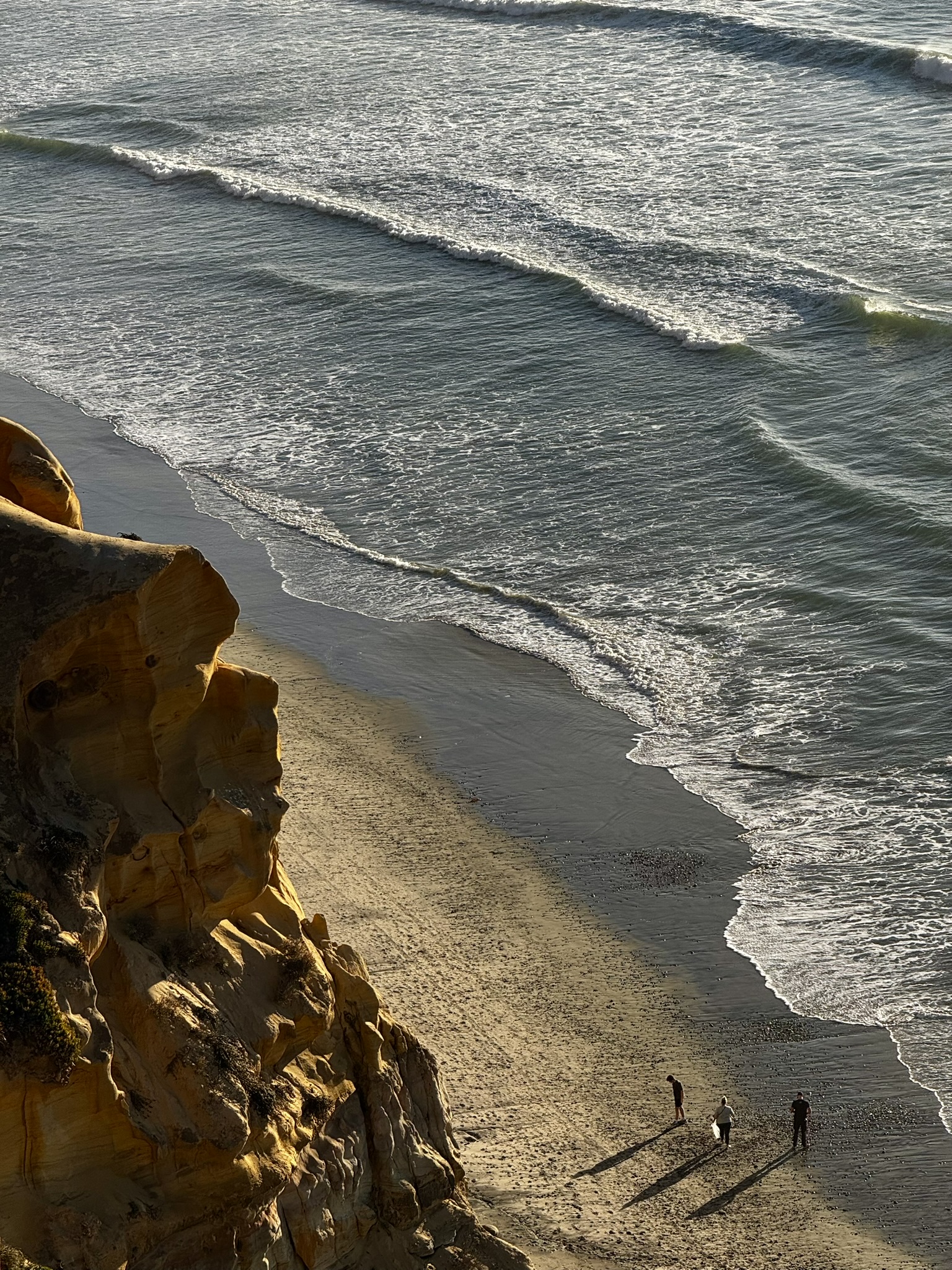 Torrey Pines State Reserve