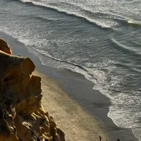 Torrey Pines State Reserve